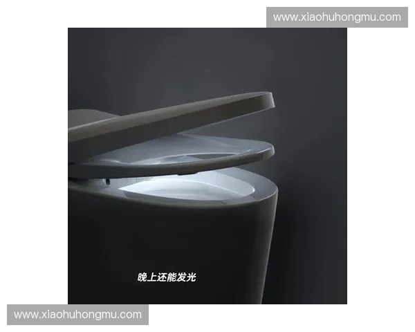 掌握关键选购要点教你如何挑选兼顾舒适与实用的优质智能马桶